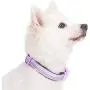 Blueberry Pet 10+ Colors Soft & Safe 3M Reflective Pastel Color Neoprene Padded Dog Collars Blueberry Pet 10+ Colors Soft & Safe 3M Reflective Pastel Color Neoprene Padded Dog Collars