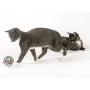 Pet Craft Supply Yowlin Yarn - Multi Color Yarn Balls with Rattle Cat Toys