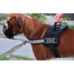 Dean & Tyler DT Works Harness with Please Give Me Space Do Not Pet Velcro Patches, Reflective Trim