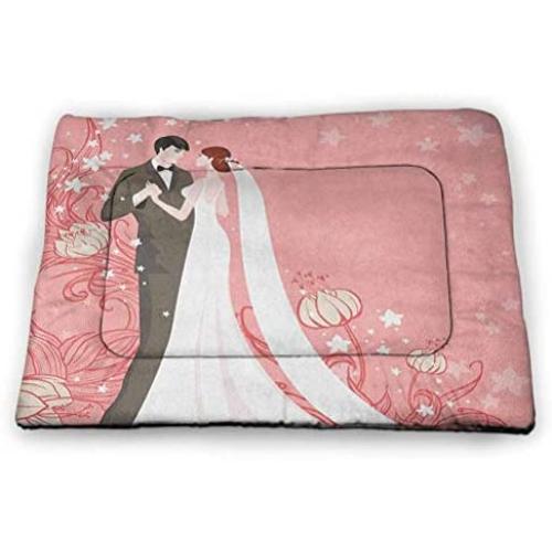DayDayFun Waterfall Printed Pet Cushion Waterfalls at Fairy Sunset Sky in Iceland Scenic Spring Rural Wildlife Art Image Easy-to-Clean Pet Mat Multicolor