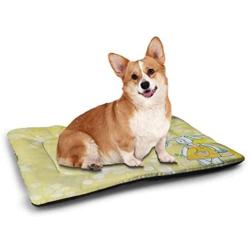 Kids Pet Mat for Crate Rabbit on The Grass with Bee and Butterfly Birds Flowers Children Cartoon Fun Design Pet Mats for Food and Water Multicolor