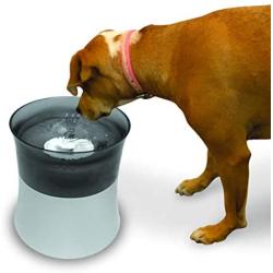 Pioneer Pet Elevated Vortex Pet Drinking Fountain, White, 128 Fluid Ounces (3047)