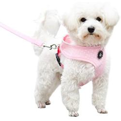 EXPAWLORER Soft Mesh Polka Dots Dog Harness with Matching Leash