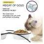 Pet Feeder Double Ceramic Bowl for Small Dogs and Cats Pet Feeder Double Ceramic Bowl for Small Dogs and Cats