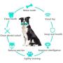 SHENGDA Anti-bite Dog Sounding Toys,Puzzle Dog Toys Supplies Molar Teeth Cleaning Toothbrush T06