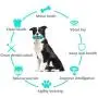 SHENGDA Anti-bite Dog Sounding Toys,Puzzle Dog Toys Supplies Molar Teeth Cleaning Toothbrush T06 SHENGDA Anti-bite Dog Sounding Toys,Puzzle Dog Toys Supplies Molar Teeth Cleaning Toothbrush T06