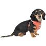 Puppia Classy Harness C, Small, Dark Grey