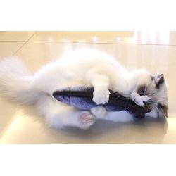 Blusea Pets Chew Bite Toy, Realistic Plush Simulation Doll Fish Funny Interactive Catnip Toys