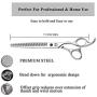 DRAGON RIOT Professional Pet Grooming Scissors 6.5/7.0/7.5/8.0 Japanese Stainless Steel Dog Shear Straight, Thinning, Chunker Shears Scissors for Dog and Cat