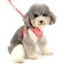 SMALLLEE_Lucky_Store New Soft Mesh Nylon Vest Pet Cat Small Medium Dog Harness Dog Leash Set