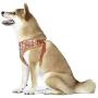 Nickelodeon All Stars Dog Harness for Large Dogs