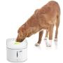 ALL FOR PAWS Automatic Cat Water Fountain Dog Water Dispenser Pet Fountain, Healthy and Hygienic Drinking Fountain for Puppy, Kitten, Birds and Small Animals