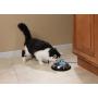 PetSafe Drinkwell Hy-Drate