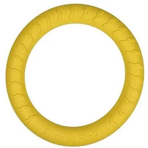 Large Dog Toys Ring Water Floating, Outdoor Fitness Flying Discs, Tug of War Interactive Training Ring for Medium and Big Dogs, 12 inch Large Dog Toys Ring Water Floating, Outdoor Fitness Flying Discs, Tug of War Interactive Training Ring for Medium and Big Dogs, 12 inch