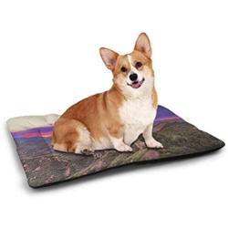 DayDayFun Great Wall of China Pet Mat Customization Old Chinese Building Area Panorama in Nature Exotic Scene Pet Mats for Food and Water for Wood Floors Turquoise Green