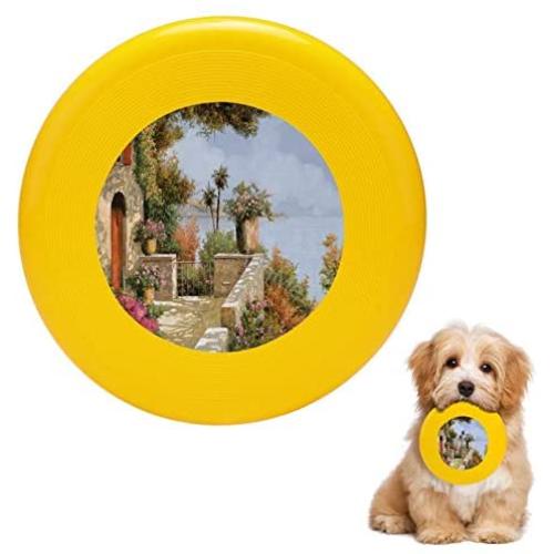 Pet Frisbee Flying Disc Dog Toy - Multifunction Silenzio Guido Borelli