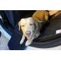 PET’ALMI Dog Seatbelt for Car Pet Seat Belt for Labrador Safety Harness Adjustable Vehicle Seatbelt Tether for Dog Quick & Easy Leads Pet Harness Through Swivel Carabiner Green Seat Belt