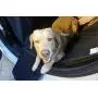 PET’ALMI Dog Seatbelt for Car Pet Seat Belt for Labrador Safety Harness Adjustable Vehicle Seatbelt Tether for Dog Quick & Easy Leads Pet Harness Through Swivel Carabiner Green Seat Belt PET’ALMI Dog Seatbelt for Car Pet Seat Belt for Labrador Safety Harness Adjustable Vehicle Seatbelt Tether for Dog Quick & Easy Leads Pet Harness Through Swivel Carabiner Green Seat Belt