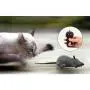 Forum Novelties Rat Toy, PeachFYE RC Funny Wireless Electronic Remote Control Mouse Rat Pet Toy for Cats Dogs Pets Kids Novelty Gift Forum Novelties Rat Toy, PeachFYE RC Funny Wireless Electronic Remote Control Mouse Rat Pet Toy for Cats Dogs Pets Kids Novelty Gift