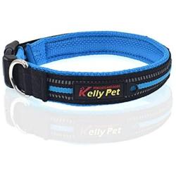 Chenyouwen Pet Toys Great Pet Dogs Polyester Reflective Breathable Pets Collar Traction Lead Leash, Size: L, 2.54754cm (Black) (Color : Blue)