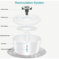 TOOOGO Cat Water Fountain, 84oz/2.5L Dog Water Dispenser Ultra Silent Hygienic Pet Water Fountain for Cats, Dogs and Small Animals