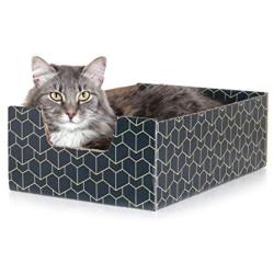 Purrfect Cat Box , Blue