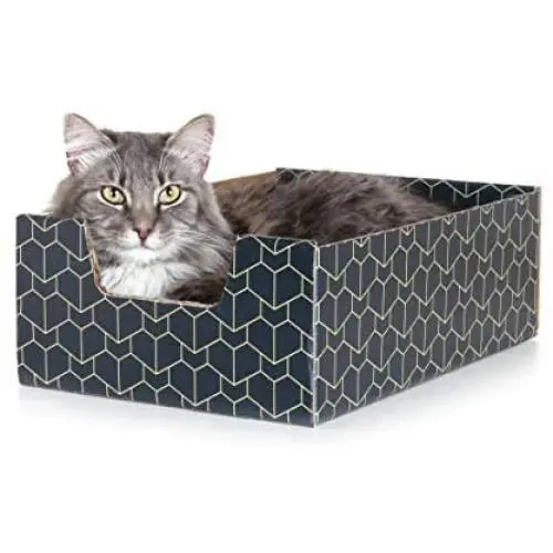 Purrfect Cat Box , Blue