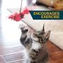 Our Pets Play-N-Squeak RealBirds Wand Interactive Cat Toy
