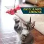 Our Pets Play-N-Squeak RealBirds Wand Interactive Cat Toy