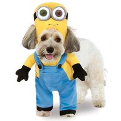 Rubies Costume Company Minion Bob Arms Pet Suit