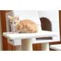 Living Better Now Cat Tree Condo Classic Posts Scratcher Cats Climbing Towers Furniture Kitty Sale Living Better Now Cat Tree Condo Classic Posts Scratcher Cats Climbing Towers Furniture Kitty Sale
