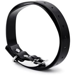 PETINCCN TPU Dog Collar Strap Belt Band Buckle for PET998DRB/PET998DBB/998DR/998DB/PT0X1/PT0Y1/PT0Z1/ Tri Tronics Petsafe iPets Petrainer Aetertek Pettech Dog Training Shock Collar and Fence