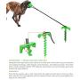 WeiFaJK Dog Tie Out Cable and Stake with Durable,for Yard and Camping,Outdoor Dog Chew Toy for Small Medium and Large Pet Dogs (Green) 4 Pcs