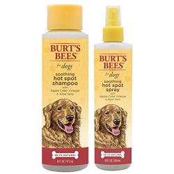 Combo Pack: Burts Bees for Dogs Soothing Hot Spot Shampoo and Spray with Apple Cider Vinegar | Cruelty Free, Sulfate & Paraben Free, pH Balanced for Dogs - Made in The USA