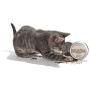 Twin Critters KittiKrack Rock: Organic Silver Vine Catnip for Cats & Kittens | 100%, All-Natural Silvervine Granules (10 Grams) Plush Toy Refill Packs | Wild Harvested with no Preservatives