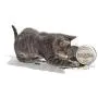 Twin Critters KittiKrack Rock: Organic Silver Vine Catnip for Cats & Kittens | 100%, All-Natural Silvervine Granules (10 Grams) Plush Toy Refill Packs | Wild Harvested with no Preservatives Twin Critters KittiKrack Rock: Organic Silver Vine Catnip for Cats & Kittens | 100%, All-Natural Silvervine Granules (10 Grams) Plush Toy Refill Packs | Wild Harvested with no Preservatives