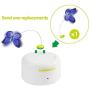 All for Paws Interactive Motion Activate Cat Butterfly Toy with One Replacement Flashing Butterflies Toy
