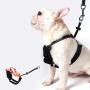 aOaO Dog Cat Harnesses,Adjustable Soft Mesh Harnesses,cat Harness and Leash for Walking Escape(Black)