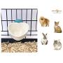 Choco Nose C607 Small Dog Cat Rabbit Food Bowl. Pet Wire Cage Removable Feeder Cute Mini Heart Shape Crate Animal Feeding Crock Water Dish Puppy Bunny Guinea Pig Chinchilla Bird BPA-Free