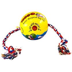 SPOT Tuggo Ball with Rope | Weighted Water-Filled Ball with Tug Rope Dog Toy | Red and Blue | for Small Medium & Large Pets (Medium (7 inch), Red)