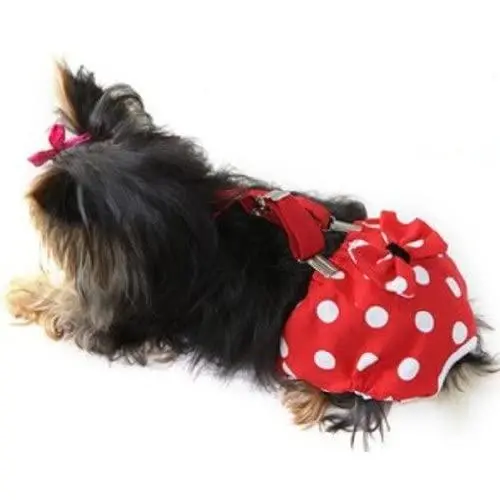 FunnyDogClothes Dog Diaper with Suspenders RED Polka DOT Reusable Washable for Small Dog Breeds Female (Large: Waist 16'' - 20'') FunnyDogClothes Dog Diaper with Suspenders RED Polka DOT Reusable Washable for Small Dog Breeds Female (Large: Waist 16'' - 20'')