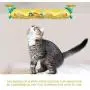 BHSHOP Cat Tracks Cat Toy Pet Interactive Toy Cat Scratching Tickle Toy with Catnip Glowing Balls BHSHOP Cat Tracks Cat Toy Pet Interactive Toy Cat Scratching Tickle Toy with Catnip Glowing Balls