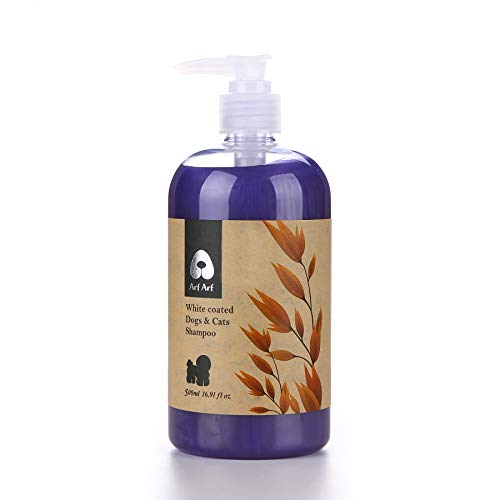 Arf Arf Anti ltch & Allay Irritation Oatmeal Dog Shampoo for Dry Itchy Skin - Natural Dog Shampoo for Smelly Dogs - Tearless Formula for Your Dogs Comfort | Made in Taiwan | (White Coated Pet Shampoo)