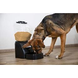 Eyenimal NGDISCRO003 Electronic Pet Feeder