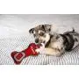 Pets First NCAA Ohio State Buckeyes Dental Dog TUG Toy with Squeaker. Tough PET Toy for Healthy Fun, Teething & Cleaning Pets Teeth & Gum. (OH-3310)