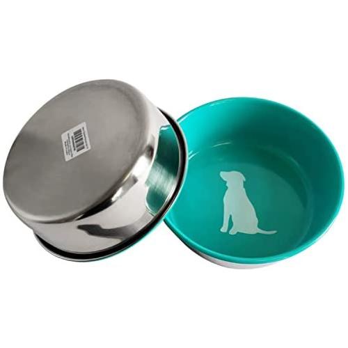 American Pet Supplies Dog Bowls, Set of 2 Colored Heavy Gauge Stainless Steel Bowls for Puppies and Dogs