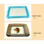 Glad Pet & Puppy Training Pads 50-Count, 23.5 by 23.5-Inch Glad Pet & Puppy Training Pads 50-Count, 23.5 by 23.5-Inch
