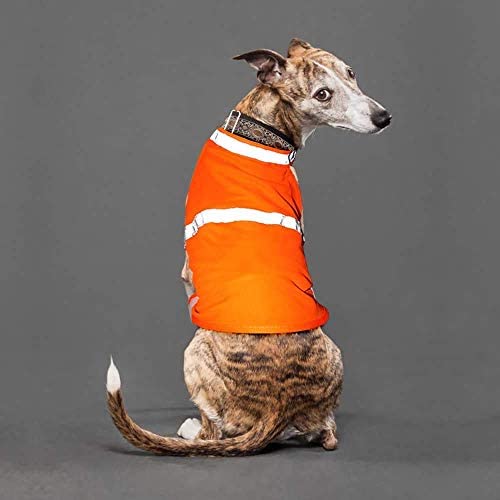 Reflective Dog Vest for Night Time, Fluorescent Dog Apparel, Adjustable Dog Coat Strap & Breathable Material Ideal to Keep Dogs Safe While Walking & Hunting (M, Orange)