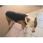 Canine Weight Set Anxiety/Aggression/Control Heavy Duty Dog Vest/Harness