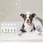 Scoochie Puppy Tearless Dog Shampoo 2 Pack - Extremely Gentle - Ph Balanced - Hypoallergenic & Veterinarian Recommended Puppy Shampoo